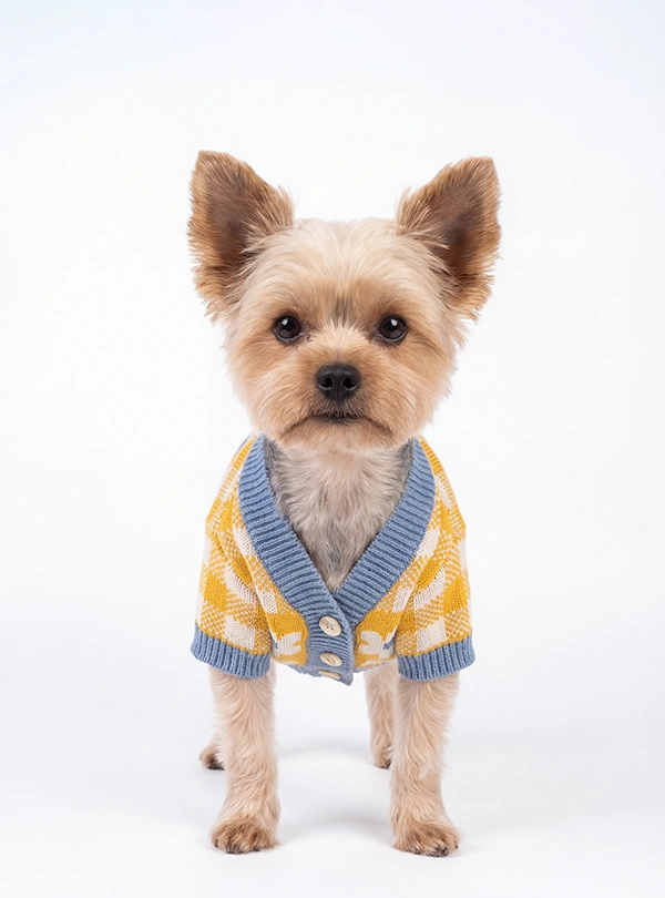 Petwear